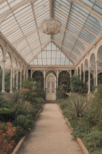 Les jardins botaniques de Madère : une immersion dans la flore exotique de l’île