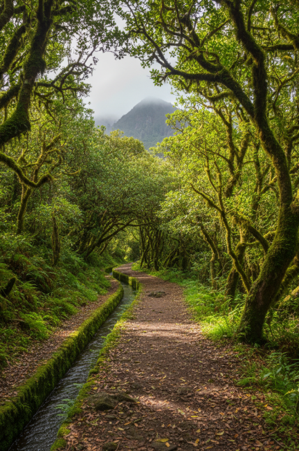 Image pour guide madère gratuit pdf