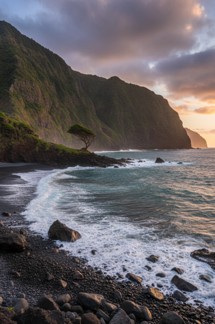 Madère pour cuisine : comment choisir la bonne bouteille selon vos plats