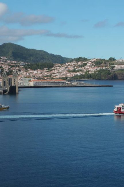 Funchal sans voiture : guide des navettes, téléphériques et bus locaux pour explorer la ville comme un habitant