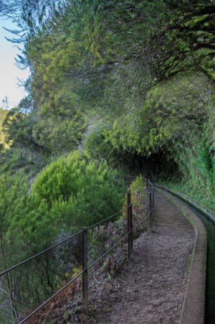 machico Madère 10 activités incontournables