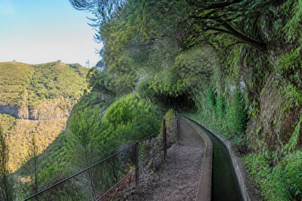 Levada do alecrim à Madeira : randonnée, accès et conseils pratiques