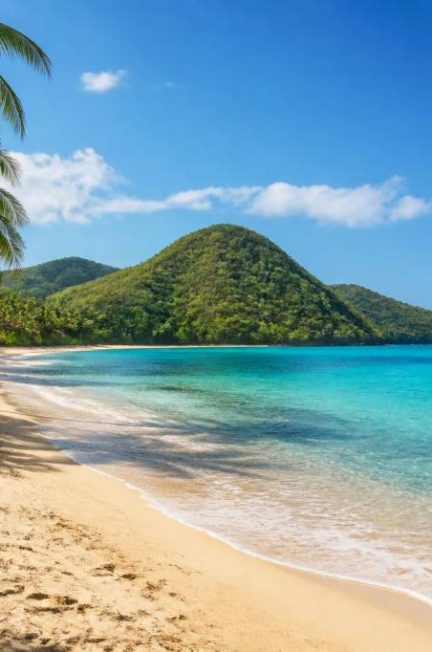 Antilles dernière minute : offres de voyage et conseils pour réserver vite