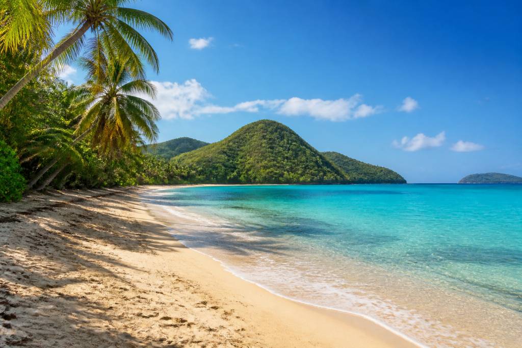 Antilles dernière minute : offres de voyage et conseils pour réserver vite