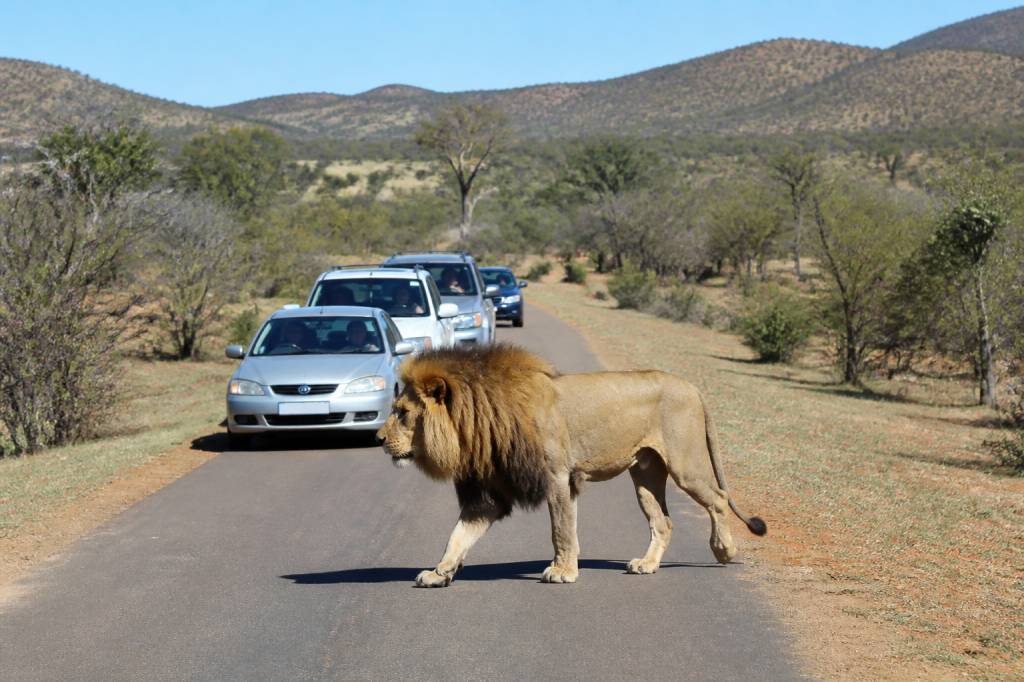 Afrique du sud : parc animalier à visiter