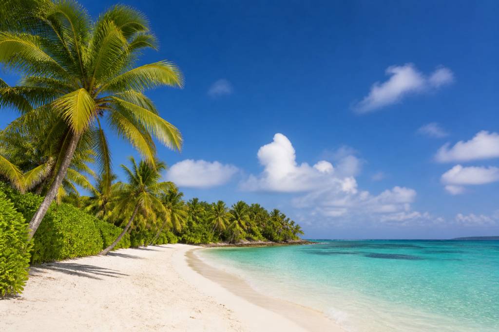 Bon plan guadeloupe