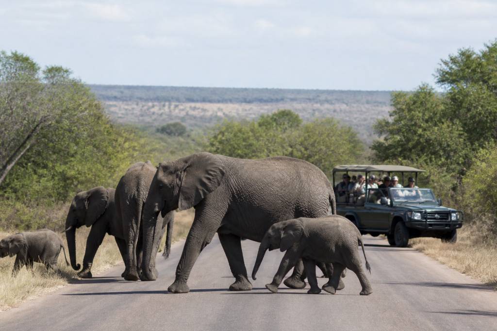 Afrique du sud parc Kruger carte : itinéraires, zones à visiter et conseils pratiques