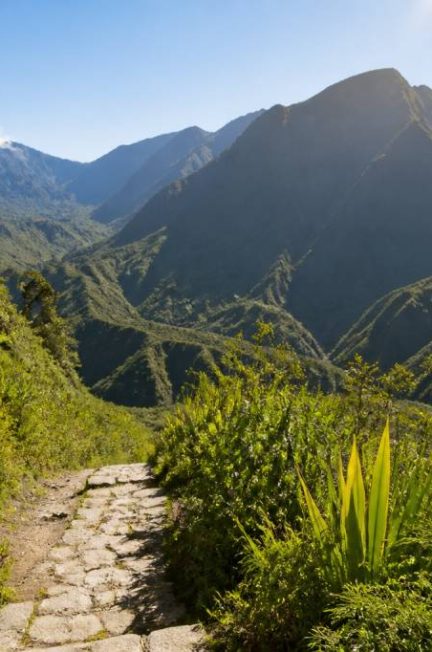 Activités à découvrir à la Réunion : les expériences incontournables de l’île intensément nature
