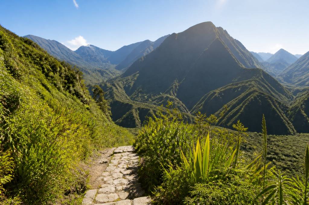 Activités à découvrir à la Réunion : les expériences incontournables de l’île intensément nature