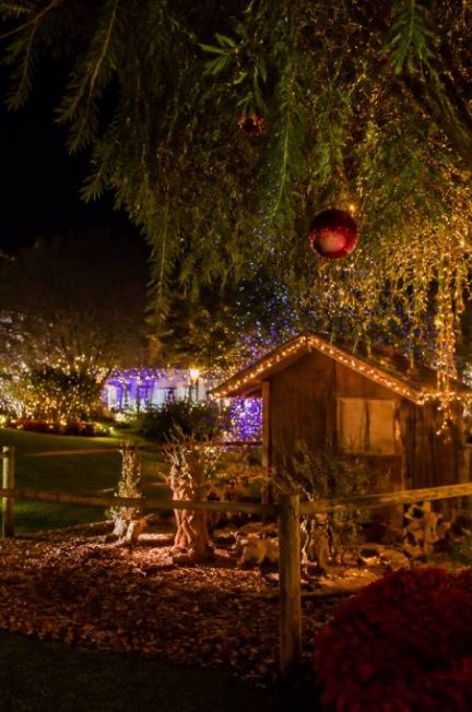 Madère à Noël : que faire et voir pendant les fêtes