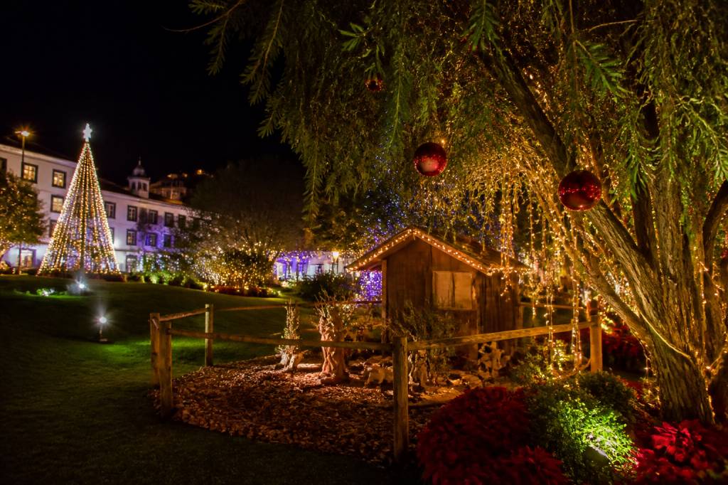 Madère à Noël : que faire et voir pendant les fêtes