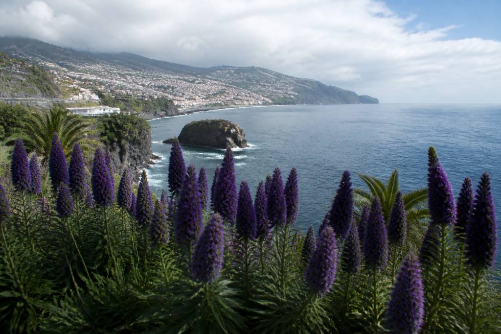Madeira Portugal February weather : quel temps fait-il à Madère en février ?