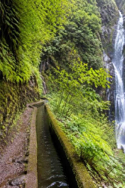 Pr 6 à Madère : guide complet de la levada das 25 fontes et de la cascade de risco