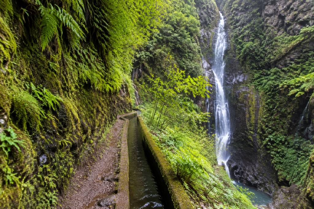 Pr 6 à Madère : guide complet de la levada das 25 fontes et de la cascade de risco